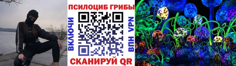 Галлюциногенные грибы Psilocybine cubensis  Ефремов 
